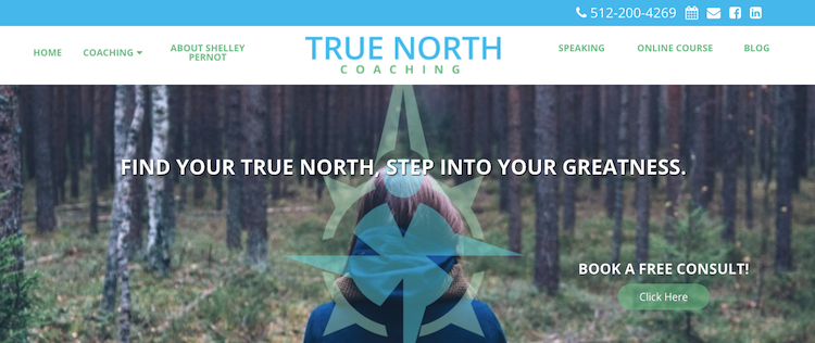 True North Consulting - Best Austin Career Coach