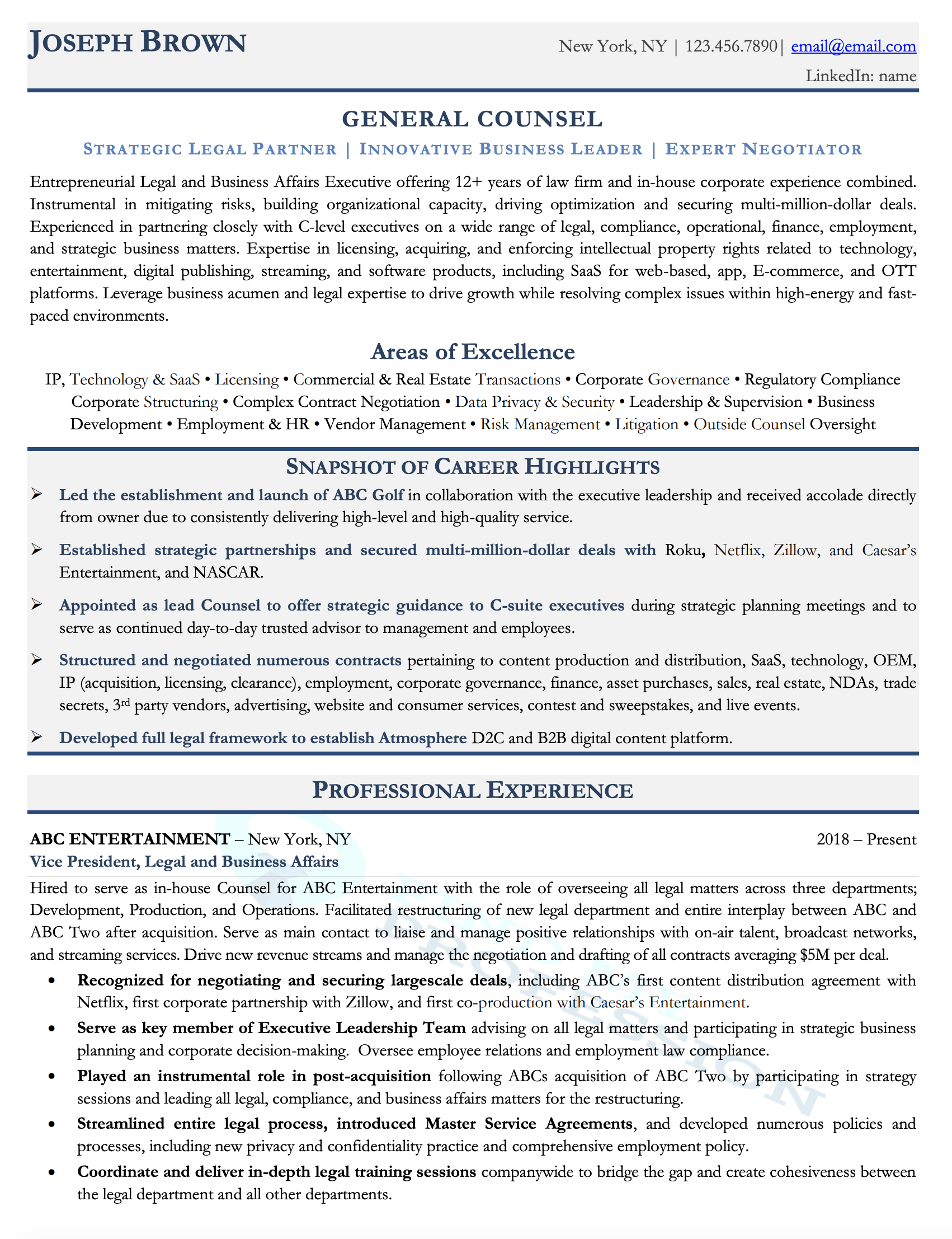 Executive Resume Samples Director Vp C Level