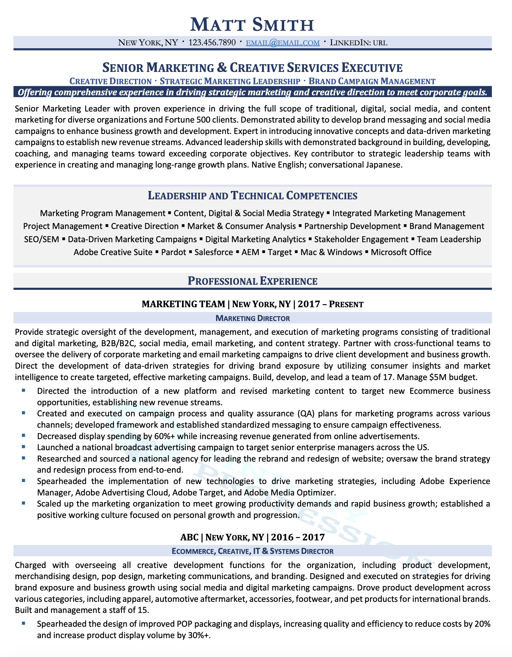 Executive Resume Samples Director Vp C Level