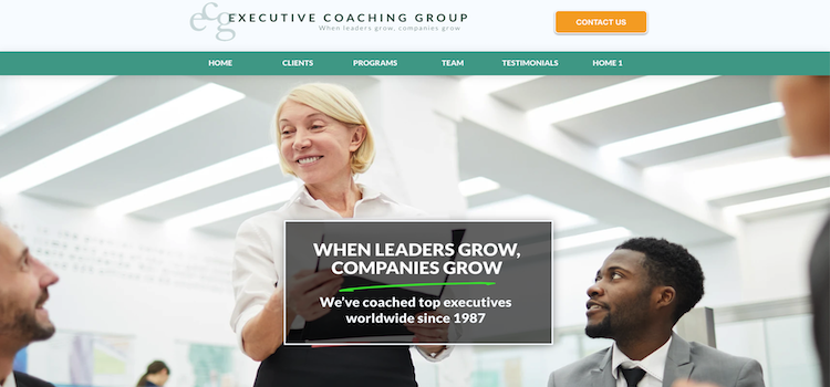 Executive Coaching Group - Best Executive Career Coach