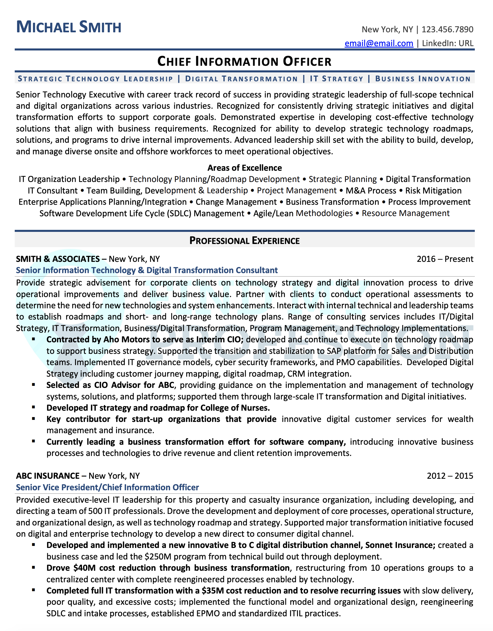 Executive Resume Samples Director Vp C Level