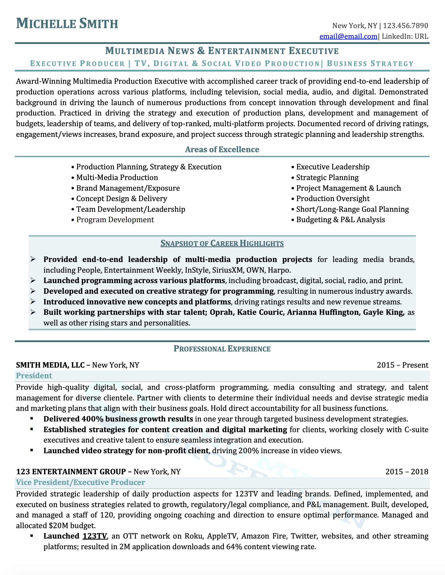 Executive Resume Samples Director Vp C Level