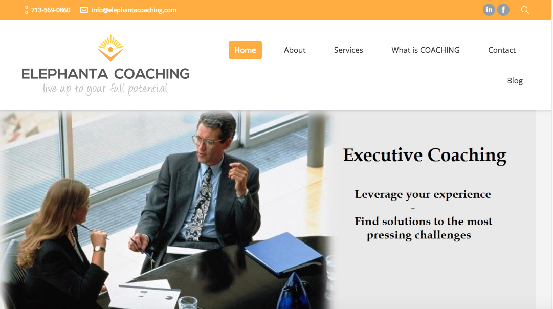 Elaphanta Coaching - Best Houston Career Coach