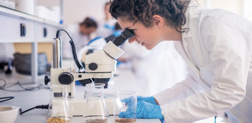 5 Best Biotech Resume Writing Services